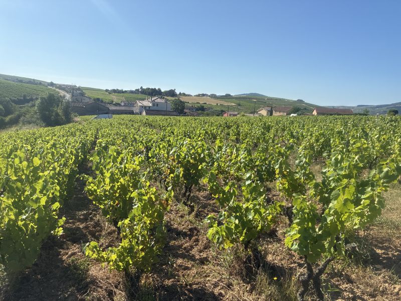 Photo du domaine 1