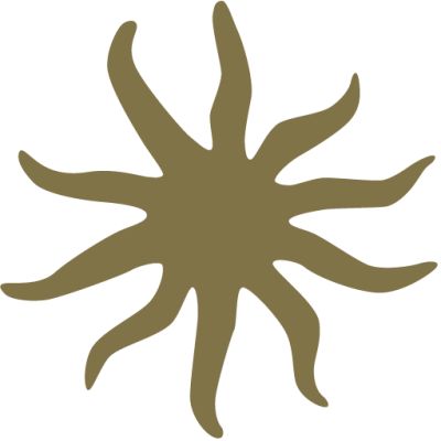 Domaine Vecchio
