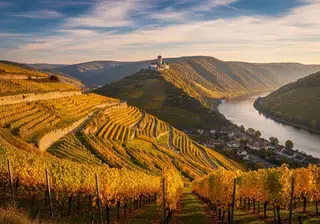 Vignobles Autriche — offres d'emploi dans le vin