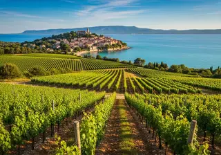 Vignobles Croatie — offres d'emploi dans le vin