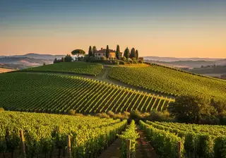 Vignobles Italie — offres d'emploi dans le vin
