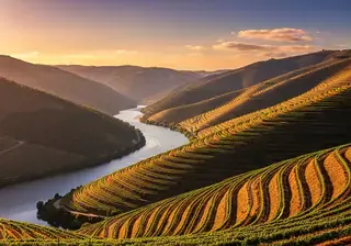Vignobles Portugal — offres d'emploi dans le vin