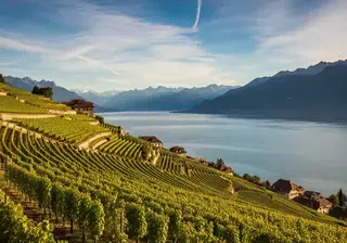 Vignobles Suisse — offres d'emploi dans le vin